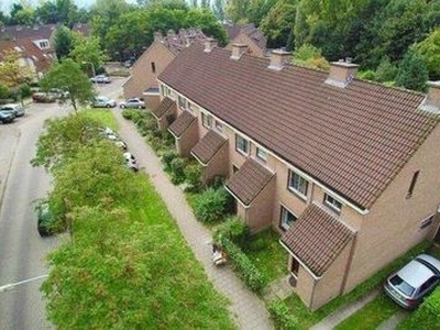 Landgraafstraat in Arnhem (150m2)