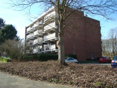 Legmeerstraat in Hoofddorp (60m2)