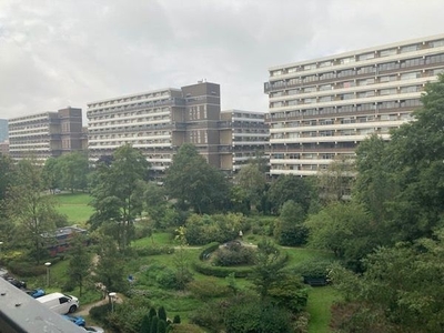 Steenvoordelaan in Rijswijk (120m2)