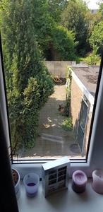 Trouwlaan in Tilburg (15m2)