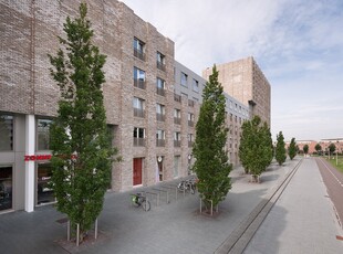 Appartement in Zwolle met 3 kamers