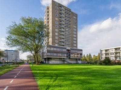 Appartement te huur in Haarlem