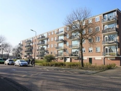 Maassingel in 's-Hertogenbosch (60m2)