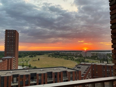 Meerplein in Eindhoven (93m2)