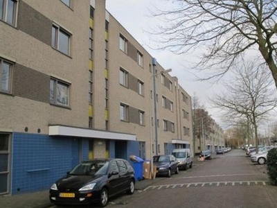 Afrikalaan in Delft (95m2)