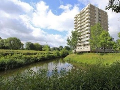 Alexanderstraat in Zoetermeer (50m2)