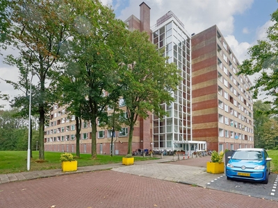 Fluitekruidweg 291