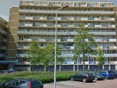 Lupinesingel in Alphen aan den Rijn (85m2)