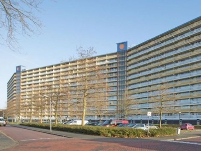 Pharus in Zaandam (80m2)