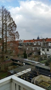 Westplantsoen in Delft (60m2)