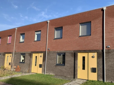 Woning te huur Rietgans, Bedum