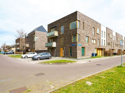 Daan Hoeksemastraat 17