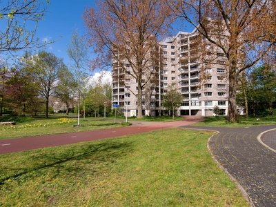 Groenhoven 238