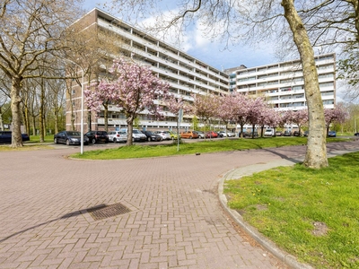 Pinksterbloemweg 203