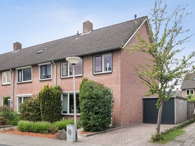 Violenstraat 31