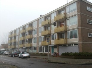 Appartement in Enschede met 4 kamers