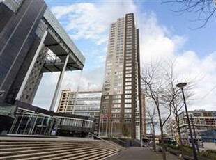 Appartement in Rotterdam met 3 kamers