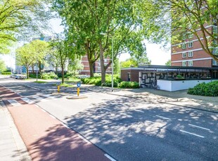 Appartement in Schiedam met 3 kamers