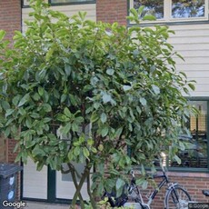 Woonhuis in Nieuwegein met 5 kamers