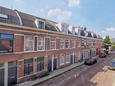 Appartement te huur in Haarlem