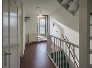 Huur 5 slaapkamer appartement in Amsterdam