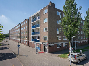 Linnaeusstraat 238