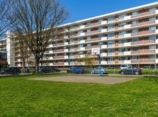 Appartement te huur in Tilburg