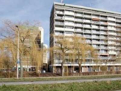 Appartement te huur in Zoetermeer