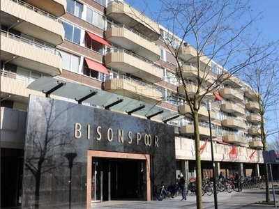 Bisonspoor 2179