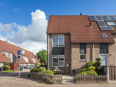 Herinckhavestraat 15