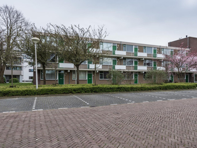 Appartement in Zwijndrecht met 2 kamers