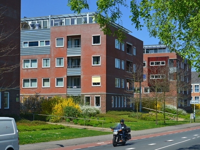 Raadhuisstraat 49