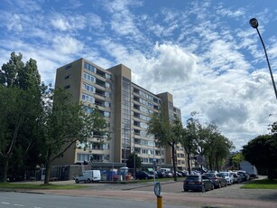 Appartement in Leiden met 3 kamers