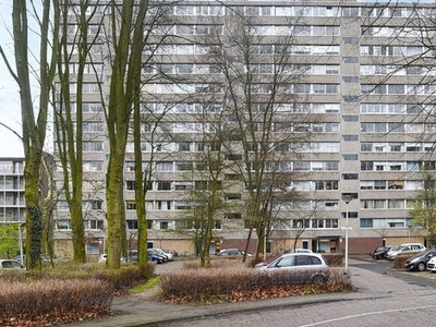 Aart van der Leeuwlaan in Delft (103m2)