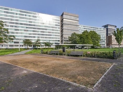 Bos en Lommerplantsoen in Amsterdam (30m2)