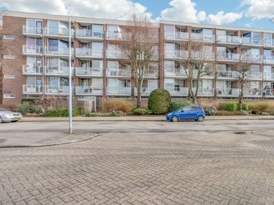 Hadewijchstraat in Alkmaar (40m2)