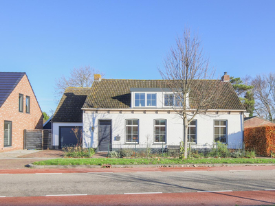 Haltestraat 67