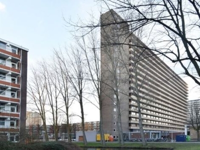 Hendrik Tollensstraat in Delft (64m2)