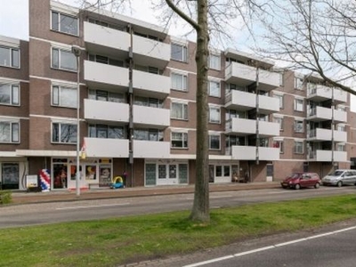 Lokerenpassage in 's-Hertogenbosch (74m2)