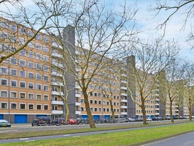 Van Nijenrodeweg in Amsterdam (34m2)