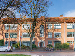 Burggravenlaan 43