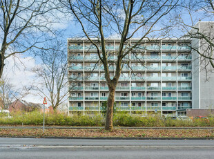 Lepelaarsingel 324