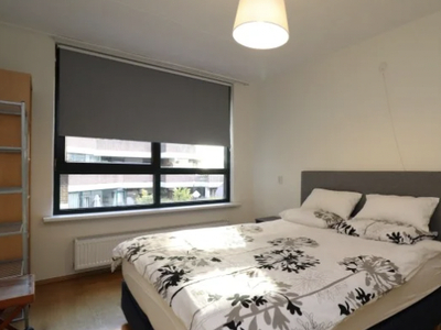 Appartement te huur Nieuwstraat, Rotterdam