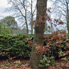 Woonhuis in Oisterwijk met 4 kamers