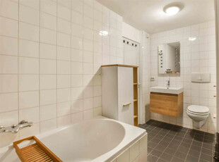 Woning te huur Dwergvinvisstraat, Amsterdam