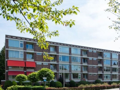 Appartement te huur Okeghemlaan, Breda