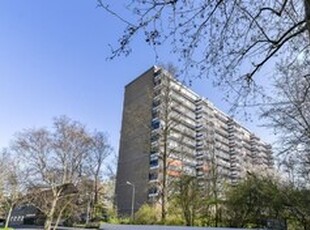 Appartement te huur in Delft