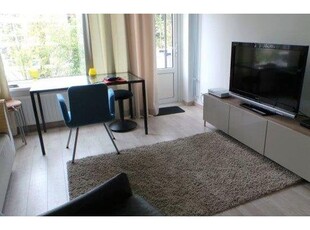 Huur 1 slaapkamer appartement van 10 m² in Utrecht