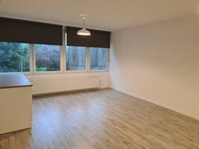 Apartment te huur in Heerlen