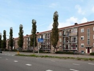 Appartement te huur in Alphen aan den Rijn